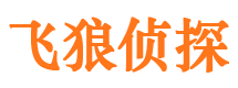 柳河婚外情调查取证